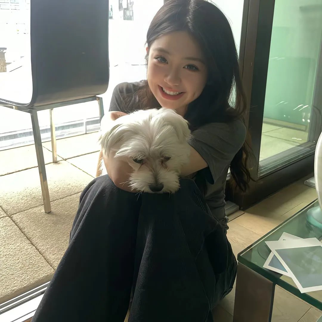 猎鹰飞过